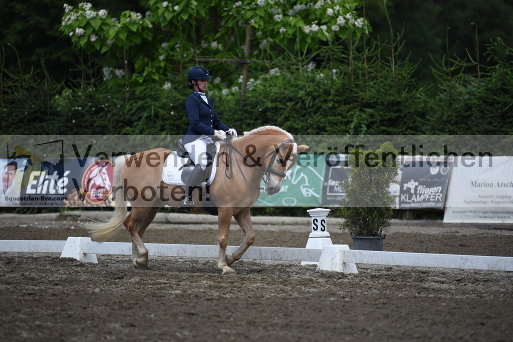 DSC_1256 | equestrian-live-com