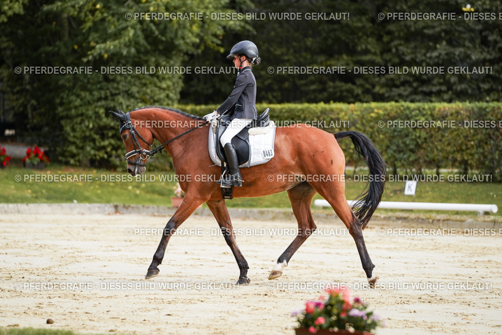 DSC03884 | Pferdegrafie