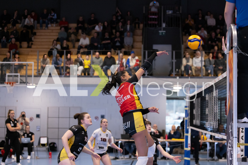 Volleyball I Frauen I Saison 2025-2026 I Volleyball NLA | Women I 1/4 Finals I  BIWI VFM - VC Kanti Schaffhausen I 01.03.2026 | 8 Letícia Bonardi (BR) (BIWI VFM) – Diagonalangriff - Realisiert mit Pictrs.com