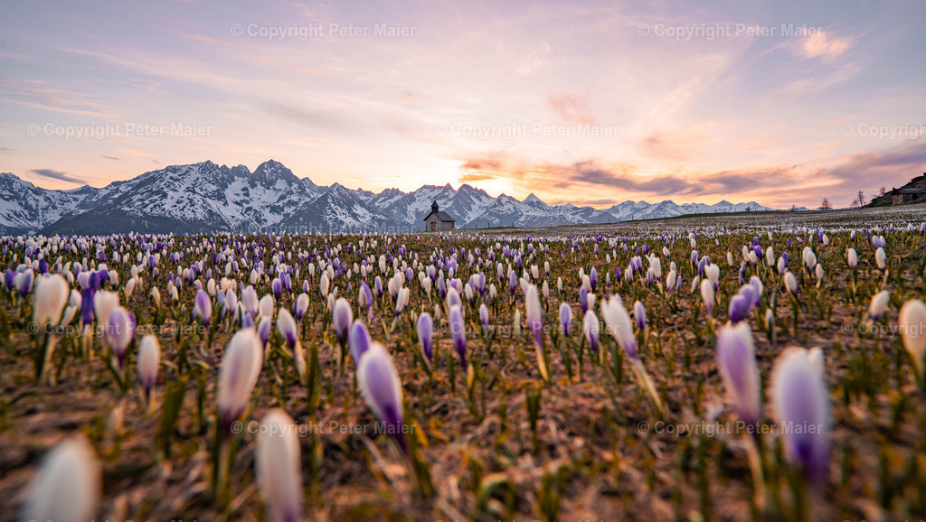 Glocknerblick-210 | piet_flosse