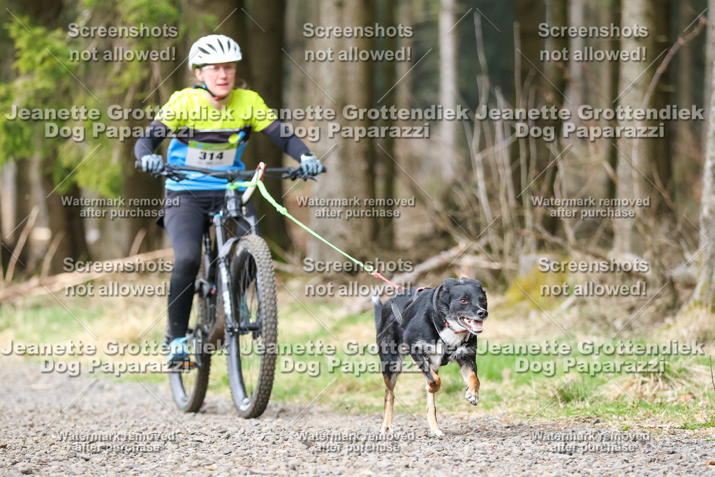 Dog Paparazzi - VCC26-601 | Dog Paparazzi Jeanette Grottendiek Fotografie & Videografie - Realisiert mit Pictrs.com