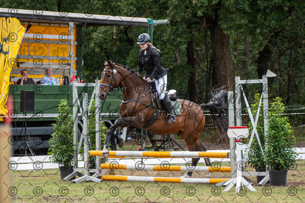 SHT_7562 | andre_photographic