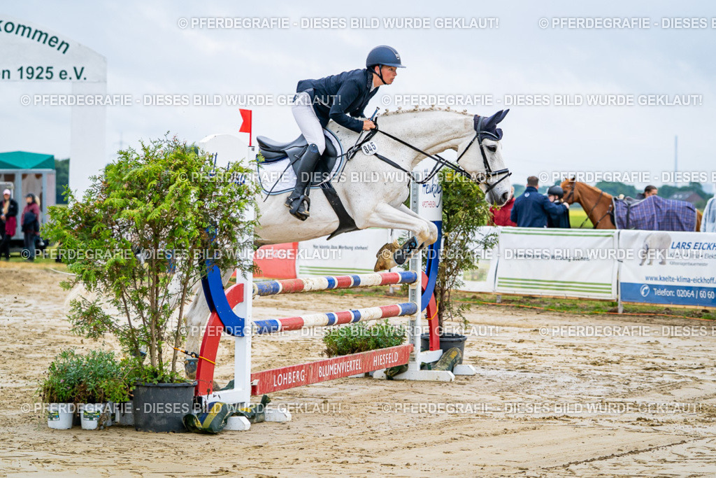 DSC01854 | Pferdegrafie