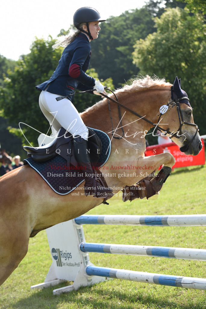 DSC_8895 | Pferde- und Turnierfotografie in Westsachsen. Pferdeportraits, Auftragszeichnungen und intuitive Kunst.
