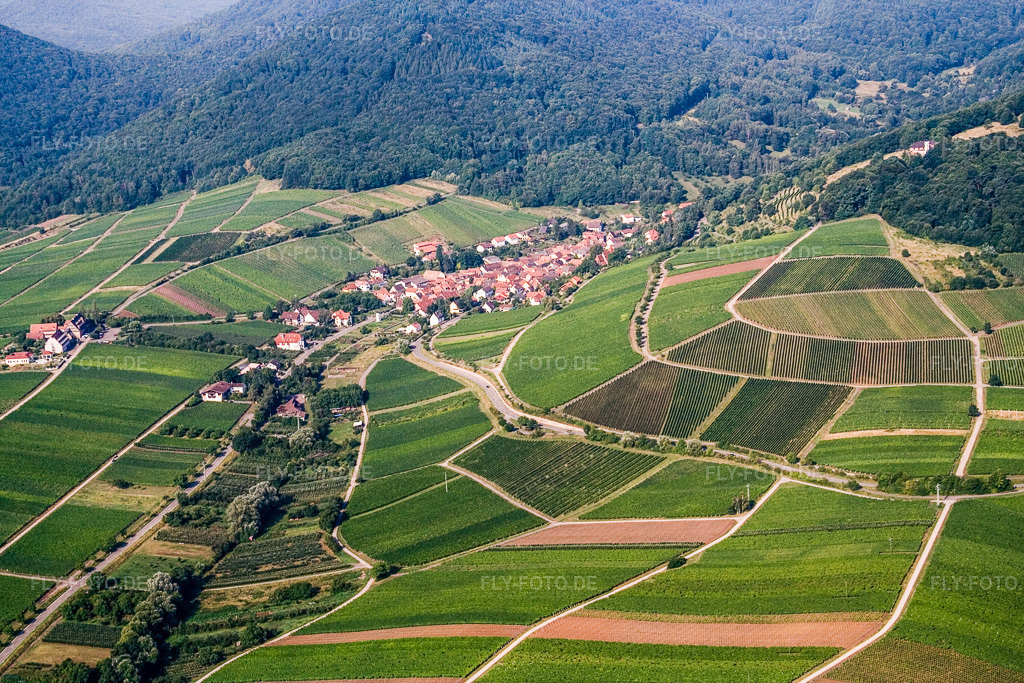 Luftbild: Winzerort am Haardtrand von Nordosten in Leinsweiler im Bundesland Rheinland-Pfalz in Deutschland. Foto: IMG_12016.jpg vom 31.07.2008 durch Werner Riehm/FLY-FOTO.de