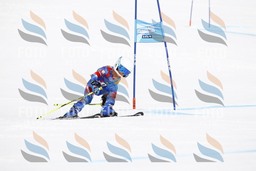 _U3G4756 | holidayphoto