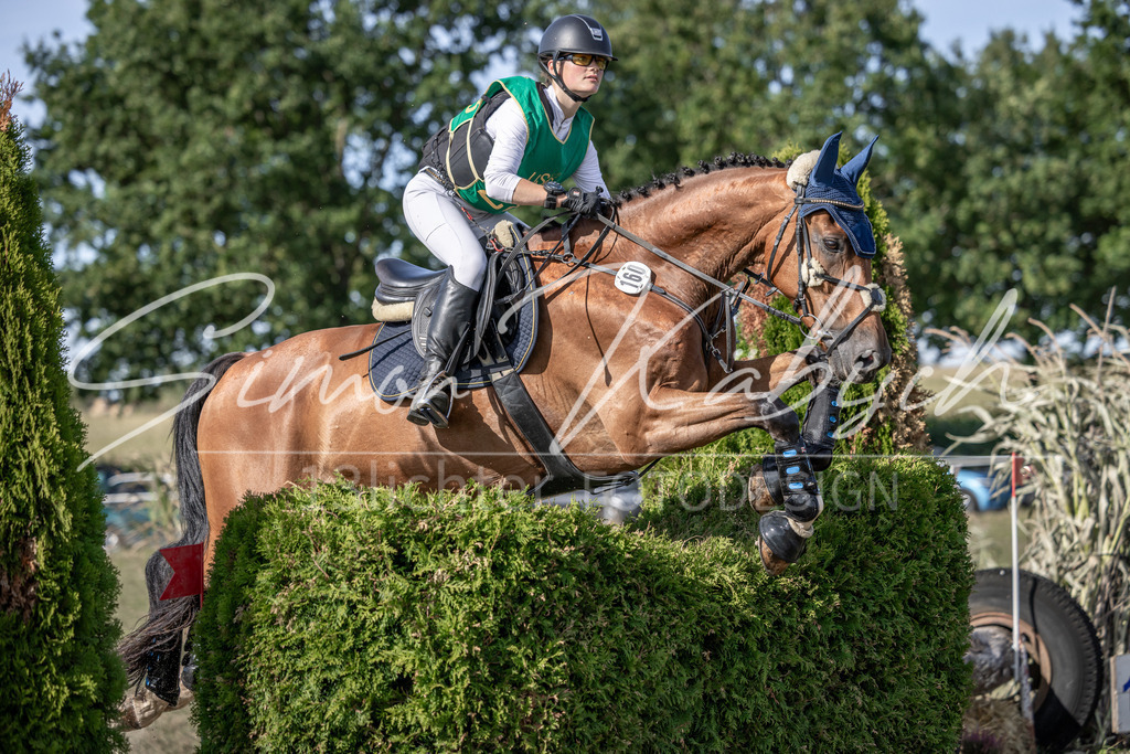 20250907-_3LI2915 | Tierfotografie Pferde, Hunde, Katzen, Haustiere.
Turnierfotografie Reitturniere, Reiten, Springreiten, Dressur in Hanau, dem Main-Kinzig-Kreis und dem Rhein-Main- Gebiet um Frankfurt