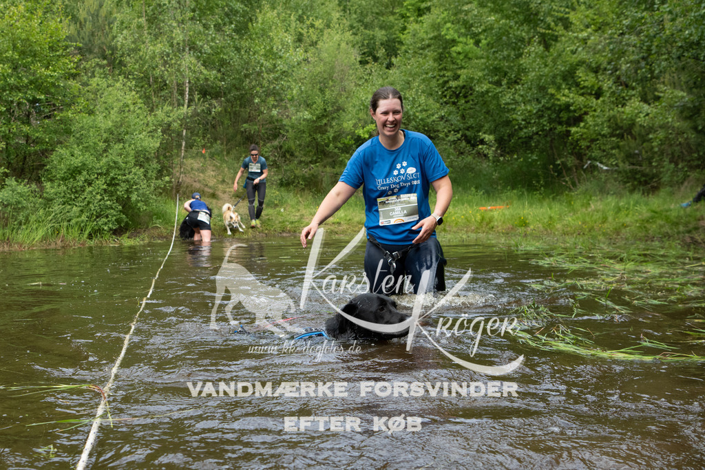 1111DKK994281 | kk-dogfotos