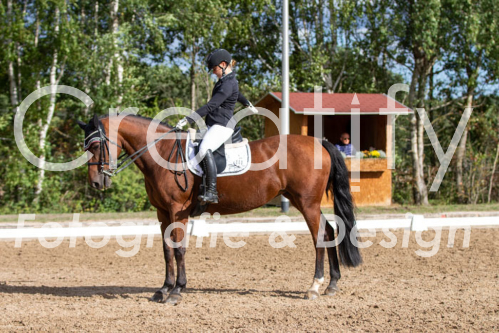 IMG_5310 | Creatify Fotografie