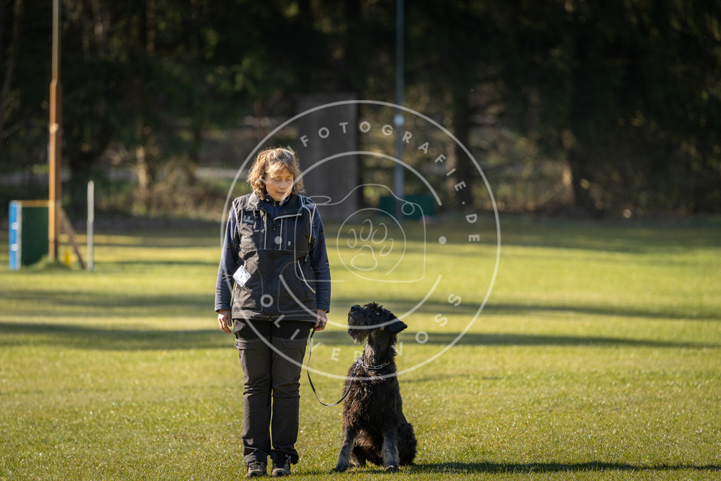 Pfotenfotografie_DV3A0077 | Hundefotografie, Tierfotograf, Pfotenfotografie, Fotoshooting Hund, Hunde Portrait, Hundesport, Hundeportraits, Heideshooting, Hunde, Sportfotograf, Hundefotograf, Turnierhundsport, THS,  - Realisiert mit Pictrs.com