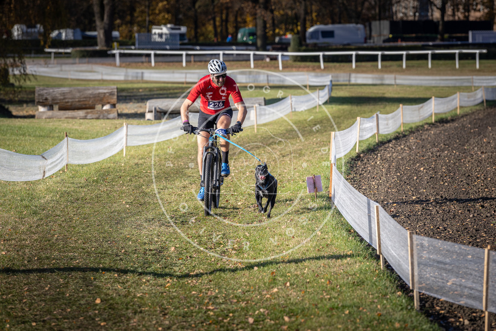 CaniXpix_DV3A3648 | Hundefotografie, Tierfotograf, Pfotenfotografie, Fotoshooting Hund, Hunde Portrait, Hundesport, Hundeportraits, Heideshooting, Hunde, Sportfotograf, Hundefotograf, Turnierhundsport, THS,  - Realisiert mit Pictrs.com