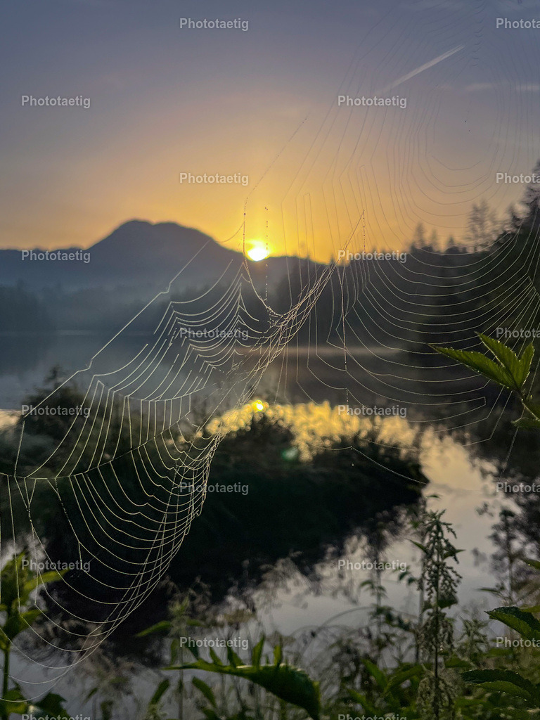 IMG_0282 | phototaetig