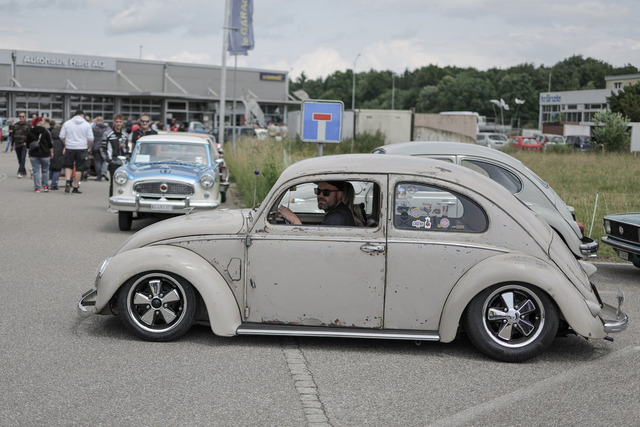 Calag_Oldtimer2025-08 | Ich fotografiere Hundeausstellungen, Sportanlässe, Zuchtstätten, Hundezucht, Hundeportrait, Lagotto - Realisiert mit Pictrs.com
