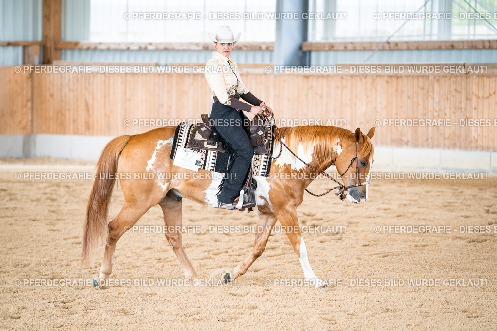 DSC02238 | Pferdegrafie