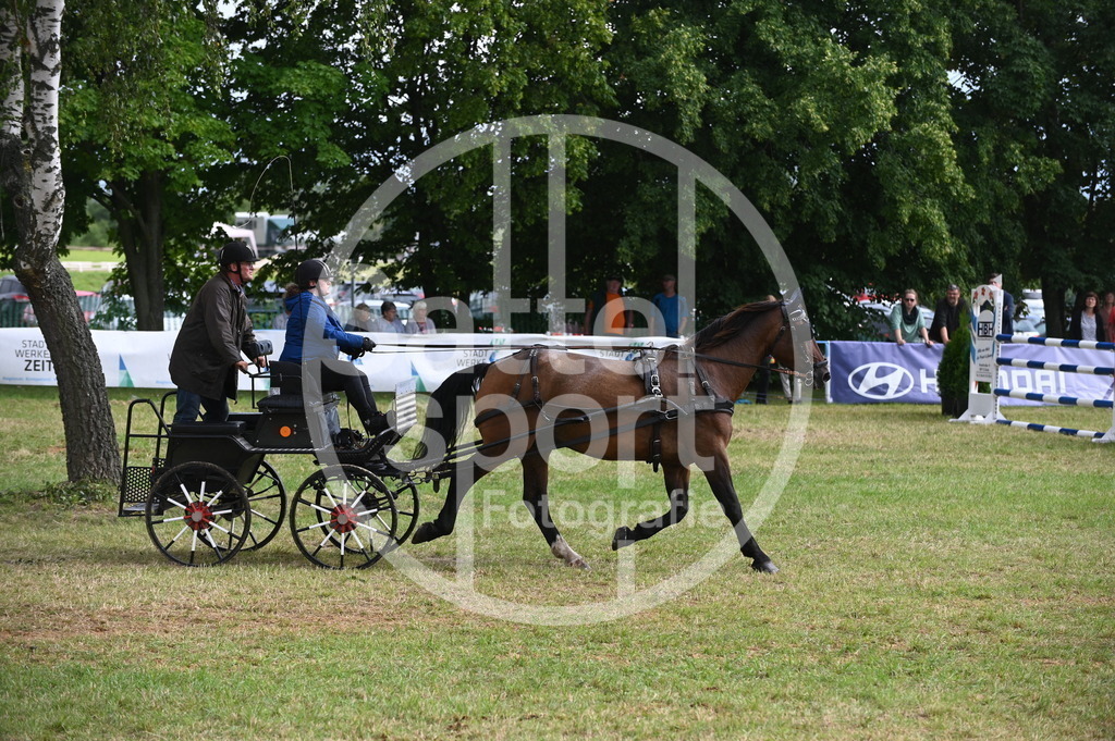 DSC_8988 | sattelsport - Realisiert mit Pictrs.com