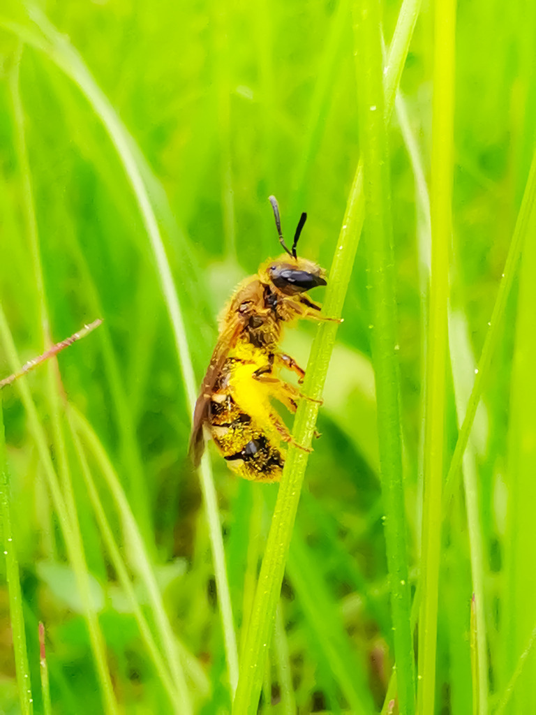 PSX_20230522_230117 | mtkfoto_ - Realisiert mit Pictrs.com