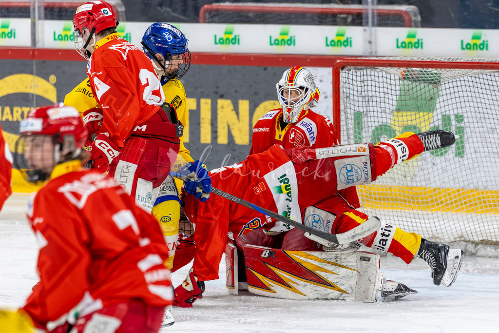 EHCB vs HCD 20262703-423838720 | Sportbilder, Sportfotograf, Hochzeits- und Eventfotografin, Flugshows, Portraits und Tiershooting, Aviation, Downhill, Nationalleague, Swissleague, International