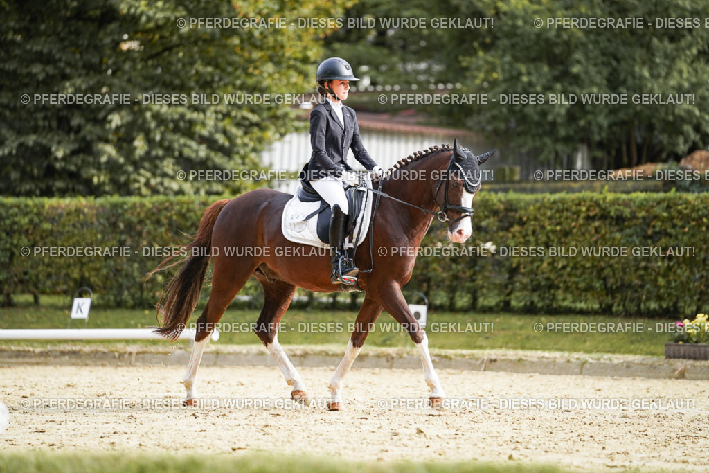 DSC05080 | Pferdegrafie