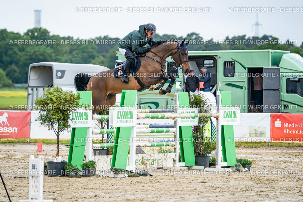 DSC03511 | Pferdegrafie