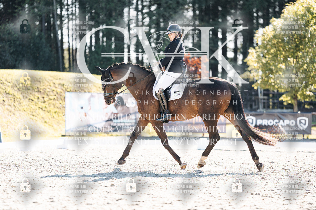 CK906125 | Turnierfotografie Pferdefotografie Trier Rheinland-Pfalz Pferdesport Reitsport Tierfotografie Sportfotografie Pferdevideo Pferdevideografie Equestrianvideography equestrianphotography  - Realisiert mit Pictrs.com