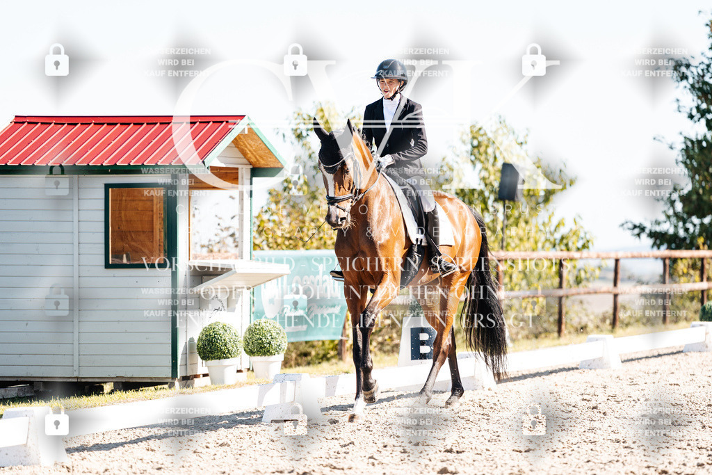 CK908642 | Turnierfotografie Pferdefotografie Trier Rheinland-Pfalz Pferdesport Reitsport Tierfotografie Sportfotografie Pferdevideo Pferdevideografie Equestrianvideography equestrianphotography  - Realisiert mit Pictrs.com