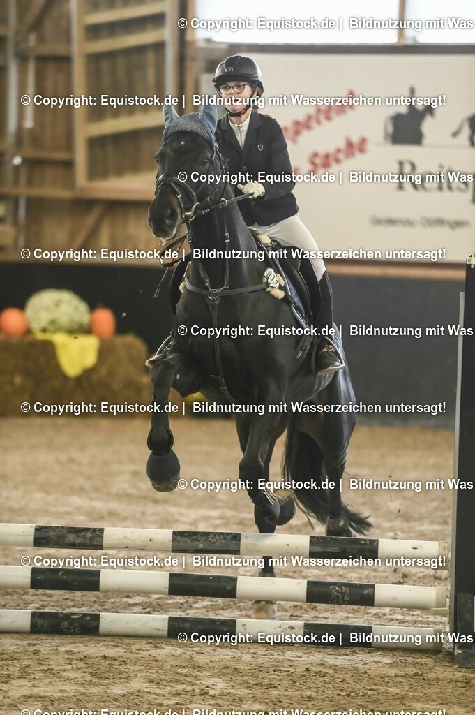 20231029_07_Stilspring-WB-50cm_0008 | Foto: Thomas Hartig