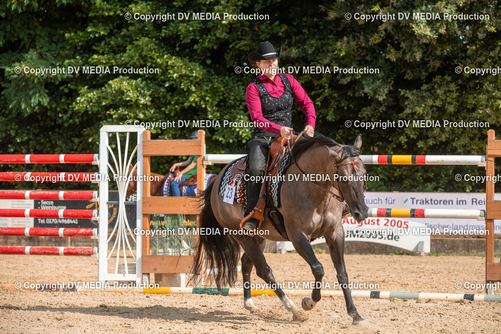 EWP_5806 | dv-media-shop - Realisiert mit Pictrs.com