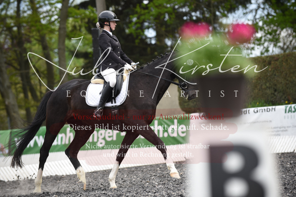 20230513_JK-Röhrsdorf-16-225 | Pferde- und Turnierfotografie in Westsachsen. Pferdeportraits, Auftragszeichnungen und intuitive Kunst.