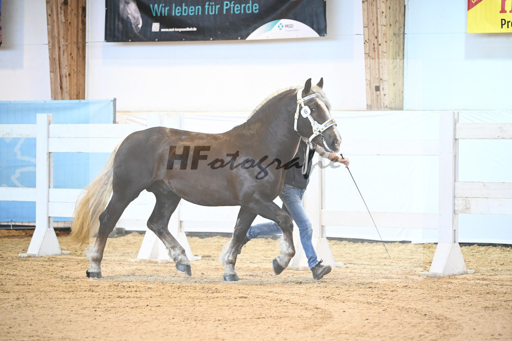 Kat-Nr. 6 v. Versailles_Poenn_6240046 | hf-fotografie - Realisiert mit Pictrs.com