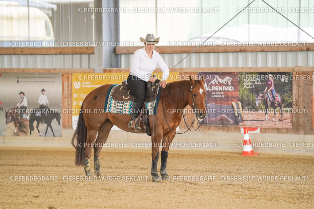 DSC00410 | Pferdegrafie