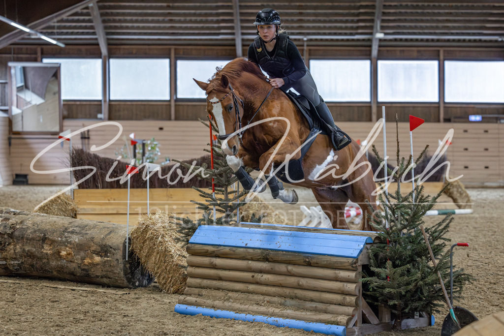 20260222-_3LI2266 | Tierfotografie Pferde, Hunde, Katzen, Haustiere.
Turnierfotografie Reitturniere, Reiten, Springreiten, Dressur in Hanau, dem Main-Kinzig-Kreis und dem Rhein-Main- Gebiet um Frankfurt