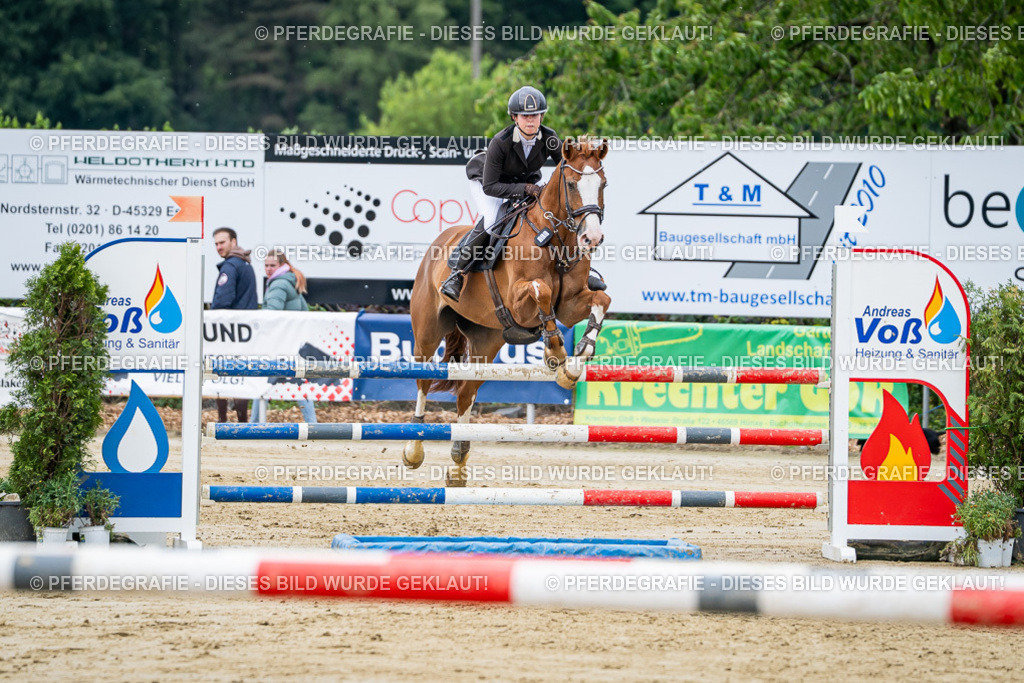 DSC04485 | Pferdegrafie