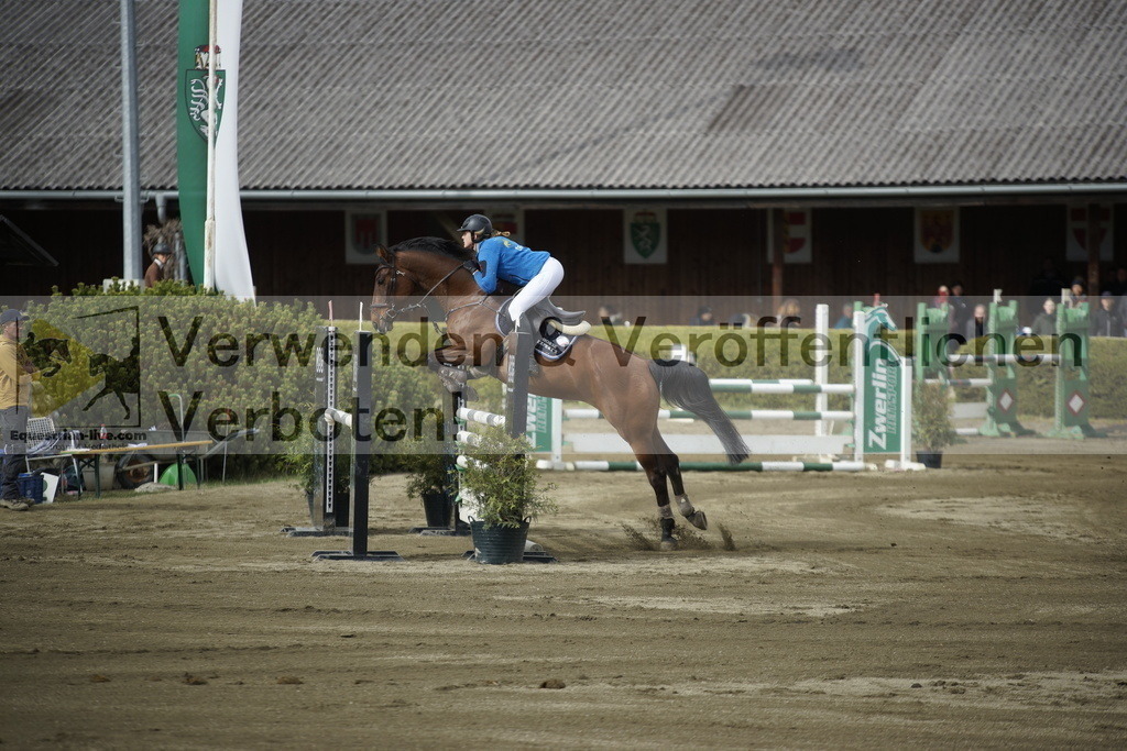 _DSC7869 | equestrian-live-com