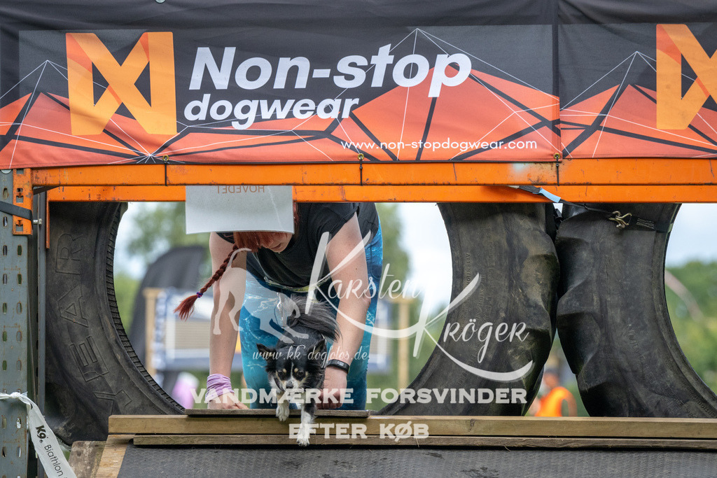 1231_ZZ93870 | kk-dogfotos