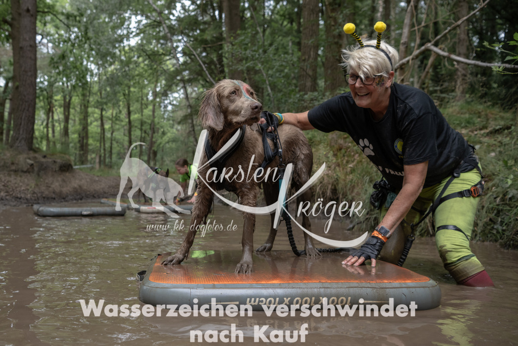 1339_ZZ95216 | kk-dogfotos