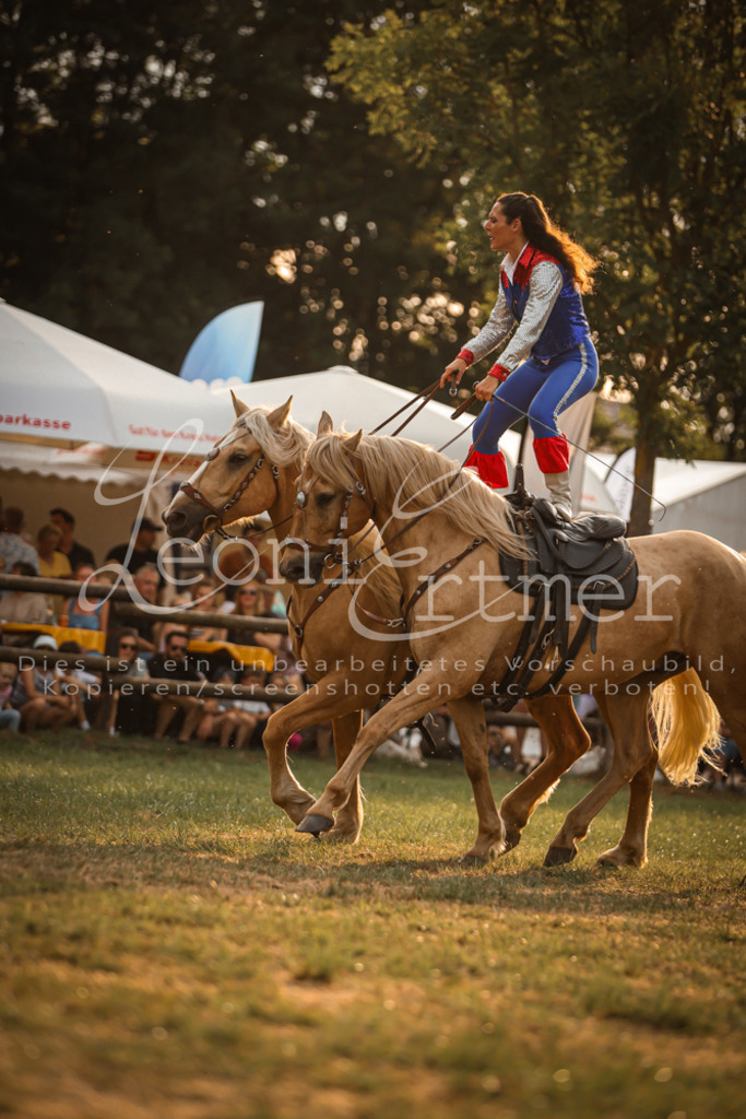 SaShow00028 | Leoni Ertmer Photography - Realisiert mit Pictrs.com
