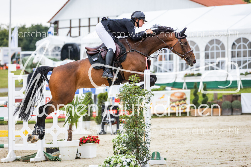 BHO-2PhSpr-M-275 | MomenTaufnahmen Pferdesportfotos