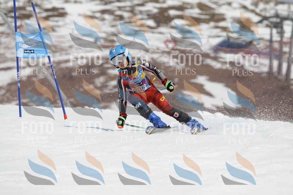 _U3G2588 | holidayphoto