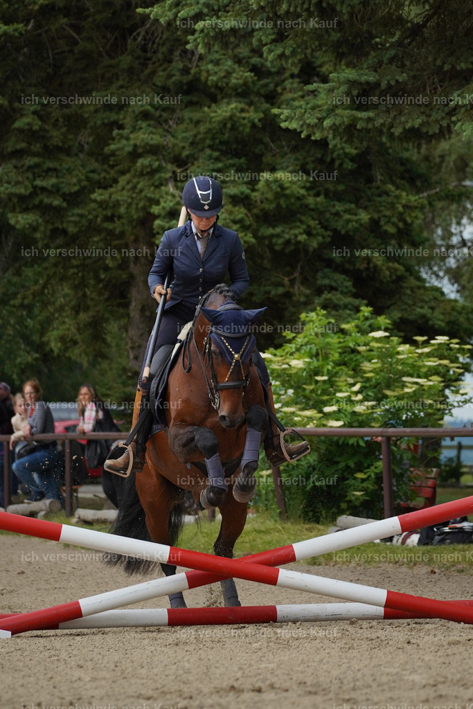 KlasseS_Lucie (38) | working equitationturnier fotograf videograf stoibphotography marixx film working equitation deutschland reitsport turnierfotografie eventfotografie equestrian events
