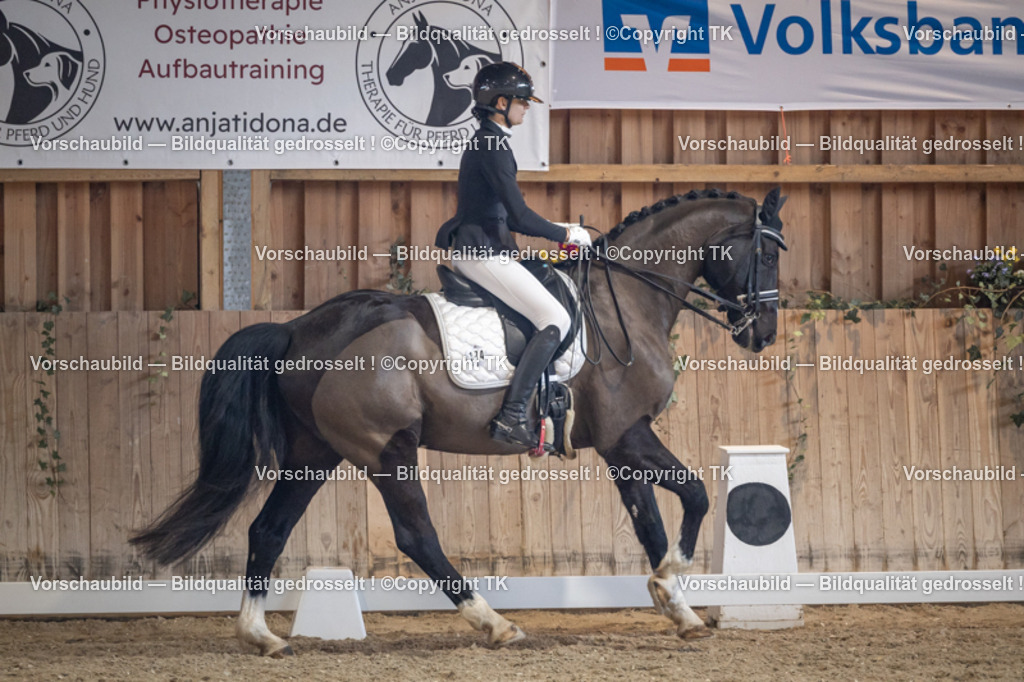 _D5A1782 | Emotionale Pferde- & People-Fotografie rund um Heidelberg, Leimen & Umgebung. Natürliche Fotos von Pferd, Mensch & Familie. Jetzt Termin sichern!