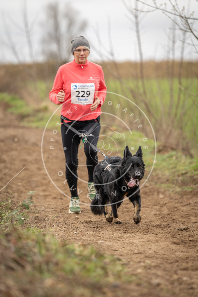 DV3A2750 | Hundefotografie, Tierfotograf, Pfotenfotografie, Fotoshooting Hund, Hunde Portrait, Hundesport, Hundeportraits, Heideshooting, Hunde, Sportfotograf, Hundefotograf, Turnierhundsport, THS,  - Realisiert mit Pictrs.com