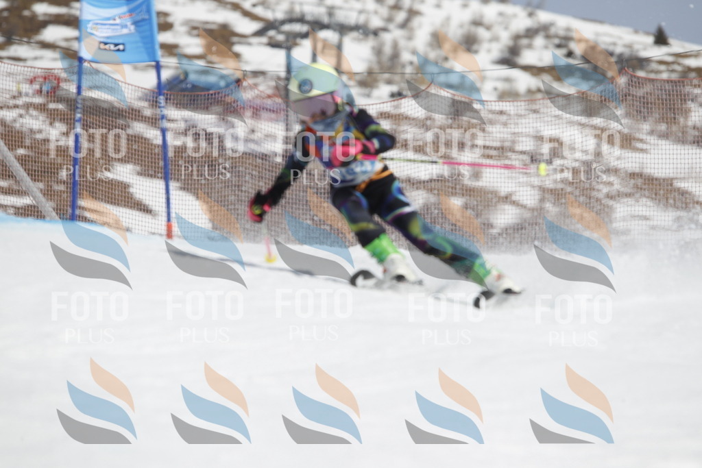 _U3G1758 | holidayphoto