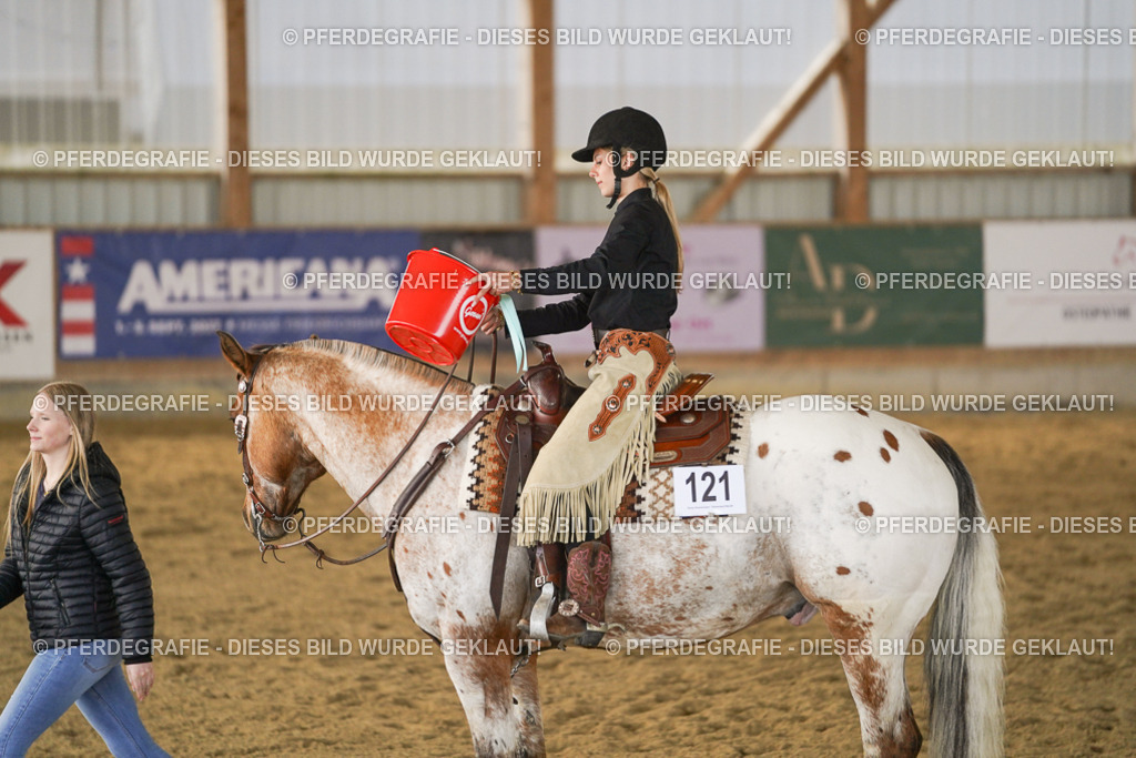 DSC09015 | Pferdegrafie