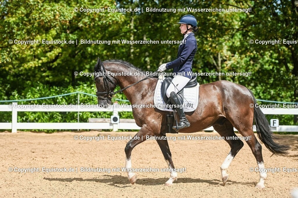 20230715_02_Dressurreiterprüfung Kl.L_0305 | equistock