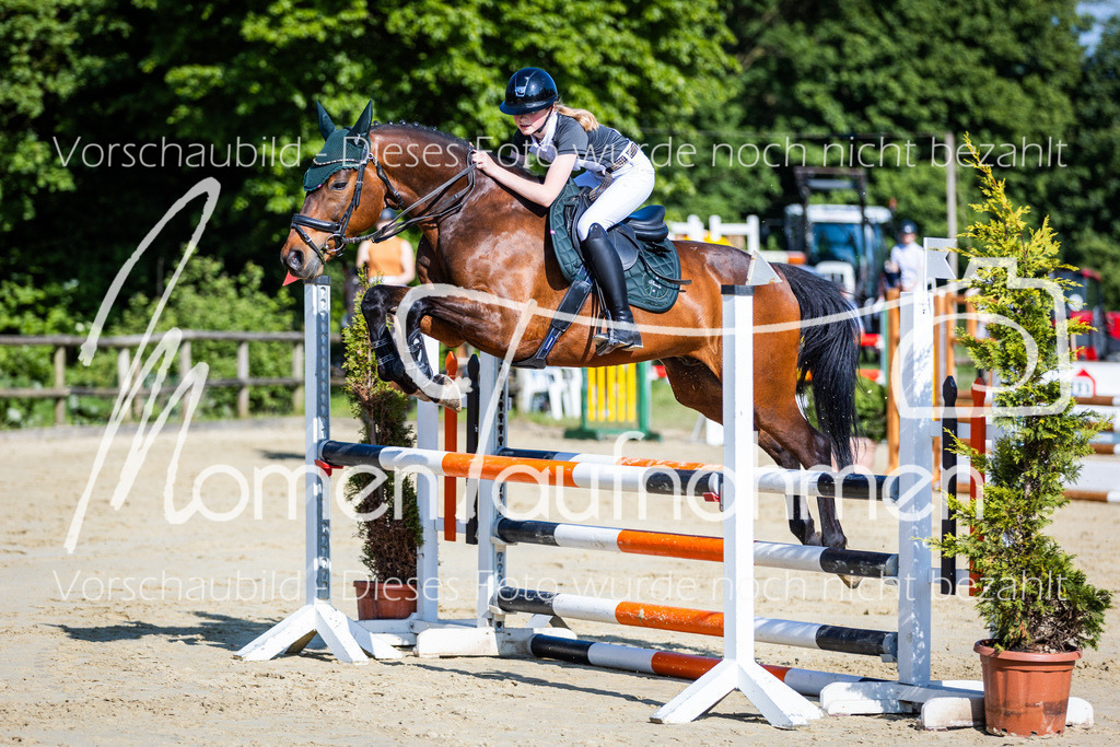 Donop24-ASpr-053 | MomenTaufnahmen Pferdesportfotos