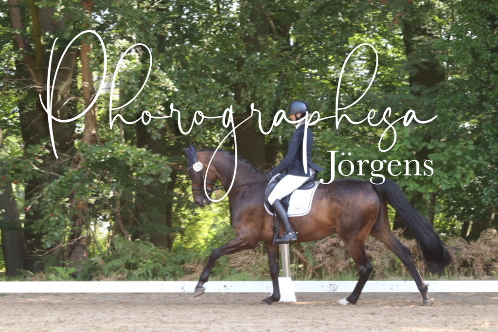 IMG_0589 | photographesa-joergens - Realisiert mit Pictrs.com