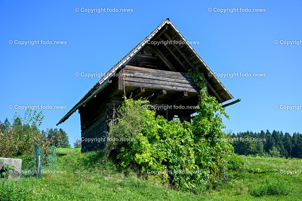 Bad Kreuzen_ 11.09.2023-31 | 11.09.2023, Bad Kreuzen, AUT, Bad Kreuzen, im Bild Franzosenhuette

ein alter Getreidespeicher beim Rotaigner in Unterdoerfl 29, an welchem Einschussloecher im Holz und kleine Dellen im Eisenblech heute noch zu sehen sind aus den Napoleonischen Kriegen
Quelle: Wikipedia