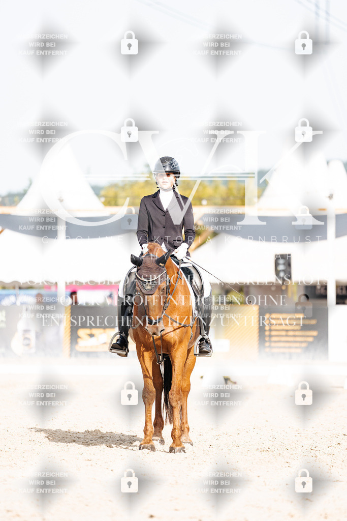CK905215 | Turnierfotografie Pferdefotografie Trier Rheinland-Pfalz Pferdesport Reitsport Tierfotografie Sportfotografie Pferdevideo Pferdevideografie Equestrianvideography equestrianphotography  - Realisiert mit Pictrs.com