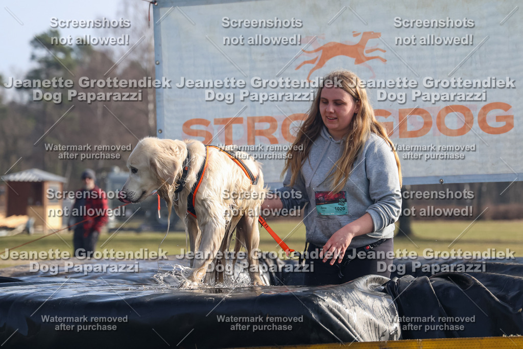 Dog Paparazzi - Strongdog North Mrz26-682 | Dog Paparazzi Jeanette Grottendiek Fotografie & Videografie - Realisiert mit Pictrs.com