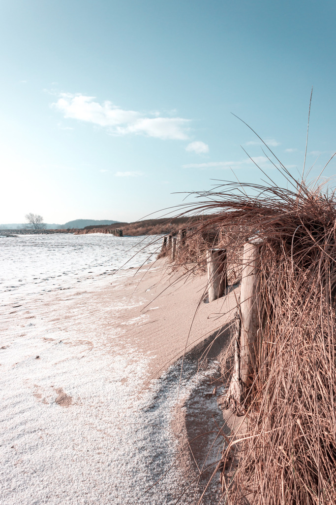 Wandbild: Strandhafer und Schnee am Strand | Dieses Wandbild im Hochformat zeigt einen leicht verschneiten Sandstrand im Winter. In einige Bereichen ist das natürliche beige des Sandstrands zu sehen. Auf der rechten Seite befinden sich einige Pfählen zwischen denen Strandhafer wachst. Am dezent blauen Himmel befindet sich eine kleine weiße Wolke. Dieses Wandbild ist als Leinwand, als Acrylglas und Aluminium-Platte in vielen Abmessungen erhältlich. Holen Sie sich jetzt Urlaubsfeeling mit pastellartigen Farben für Ihr Zuhause. Ideal fürs Wohnzimmer, Schlafzimmer, Küche aber auch für das Büro oder die Praxis. - Realisiert mit Pictrs.com